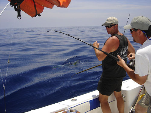 cape canaveral fishing